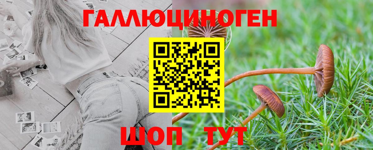 Галлюциногенные грибы MAGIC MUSHROOMS  Псилоцибиновые грибы Cubensis  Вход с VPN  Старый Оскол 